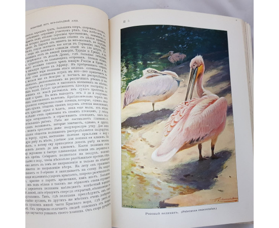 В. Гааке. Животный мир, его быт и среда (комплект из 3 книг)