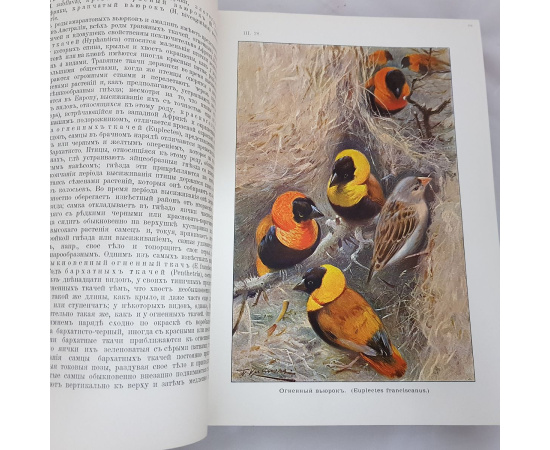 В. Гааке. Животный мир, его быт и среда (комплект из 3 книг)