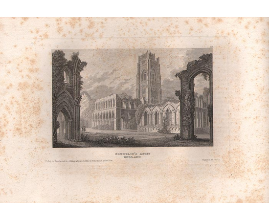 471 гравюра замечательнейших мест земного шара. Мейерс универсум. . Полный комплект. В 10 томах. Том 9 и 10 в 1 книге. Редкость