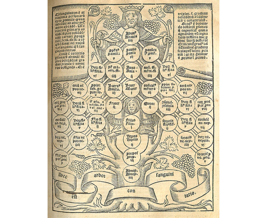 Свод всех сводов (Summa summarum). Издание 1524 года
