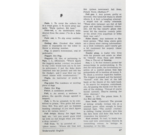 Dictionary of American Underworld Lingo книга