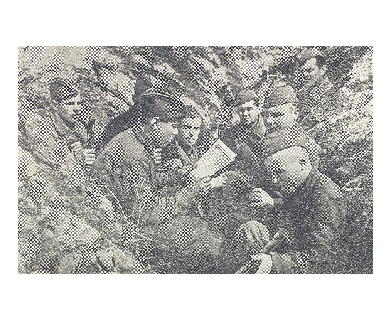 Бои на Волхове