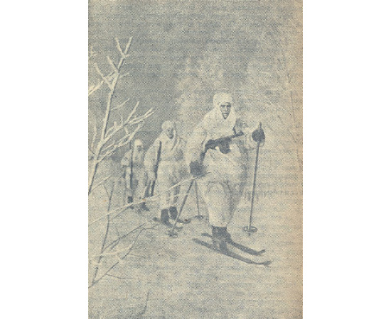 Бои на Волхове