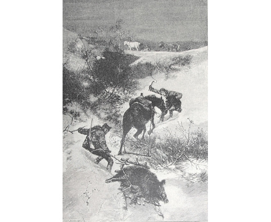 Охотничья газета. Иллюстрированное еженедельное издание. 1895 год, выпуски 1 - 50