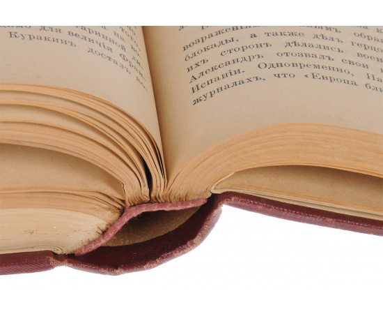 История Наполеона I. В 2 томах (в одной книге)