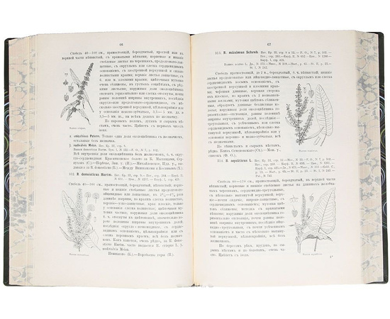 Иллюстрированная флора Московской губернии. В 4 частях (комплект из 2 книг)