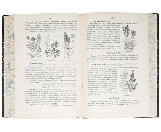Иллюстрированная флора Московской губернии. В 4 частях (комплект из 2 книг)