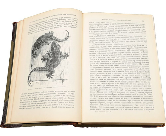 Жизнь животных в 13 томах. Тома 4-10 (полный комплект всех вышедших томов) (комплект из 7 книг)