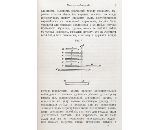 Муравьи, пчелы и осы. Наблюдения над нравами общежительных перепончатокрылых