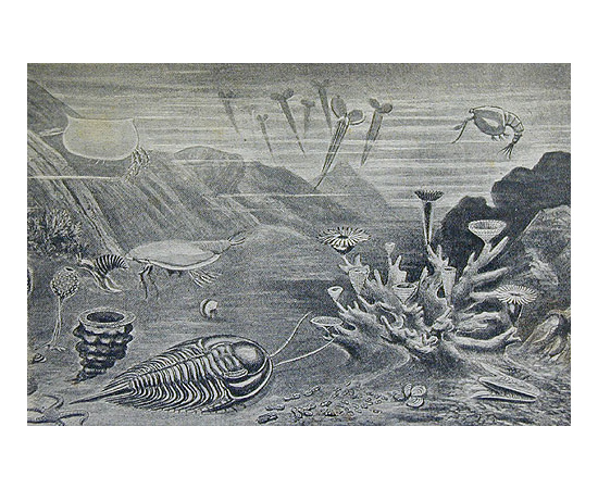 Земля до появления человека. История земли и жизни