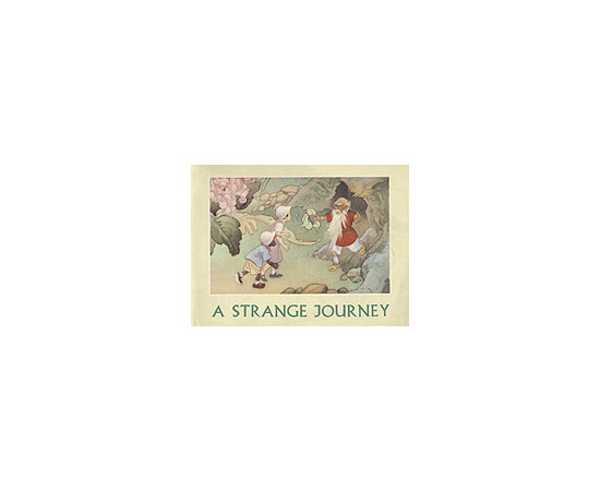 A strange journey книга