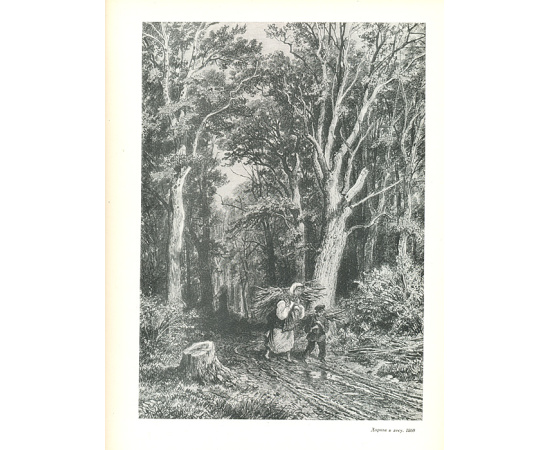 Рисунки Шишкина