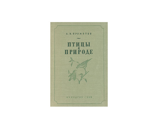 Птицы в природе