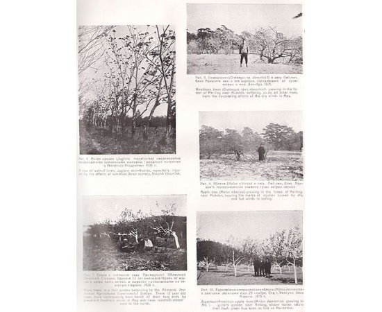 Вестник Маньчжурии (Выпуски 1 - 6 за 1927 год) Полный комплект