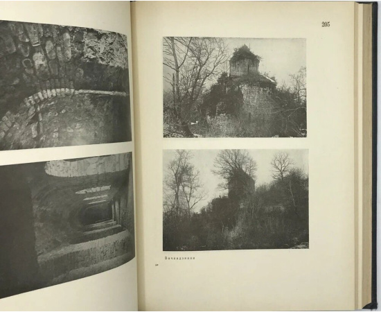 Чубинашвили Г.Н. Чубинашвили Г.Н. Архитектура Кахетии. Атлас. Исследования развития архитектуры в восточной провинции Грузии в IV-XVIII в.в