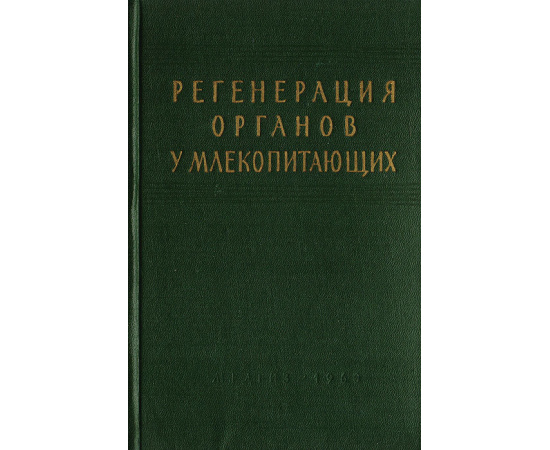 Регенерация органов у млекопитающих