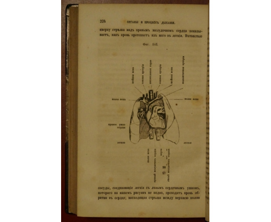Джонсон. Химические сведения о различных предметах из вседневной жизни. В двух частях в одном переплете