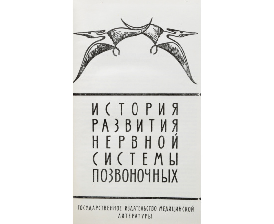 История развития нервной системы позвоночных