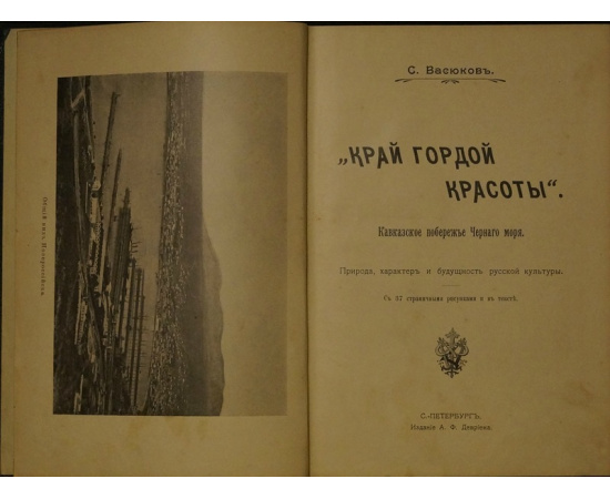 Васюков С. Край гордой красоты. Кавказское побережье Черного моря: Природа, характер и будущность русской культуры