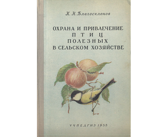 Охрана и привлечение птиц, полезных в сельском хозяйстве