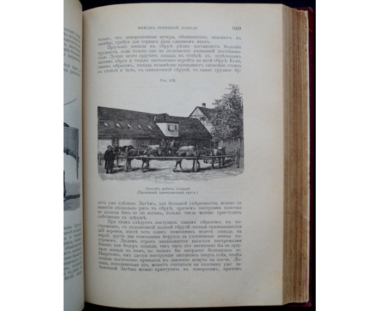 Урусов С.П., кн. Книга о лошади. Настольная книга для каждого конозаводчика, коневода, коневладельца и любителя лошади. В двух томах.