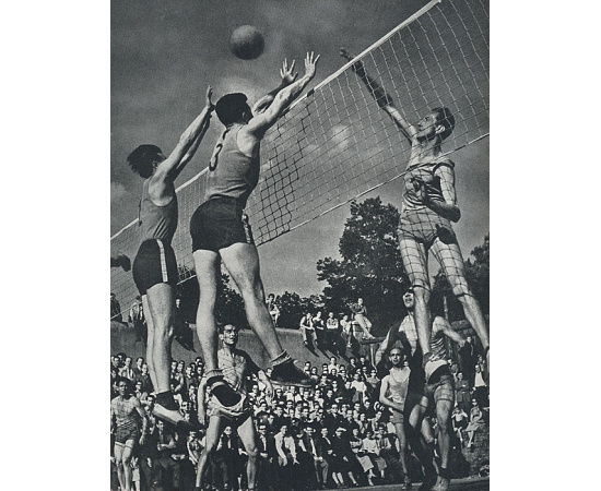 Спортивная слава. Картинные документы славного десятилетия. 1948-1957