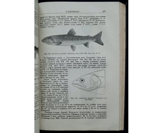 Берг Л.С. Рыбы пресных вод СССР и сопредельных стран. В трех частях