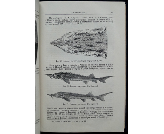 Берг Л.С. Рыбы пресных вод СССР и сопредельных стран. В трех частях