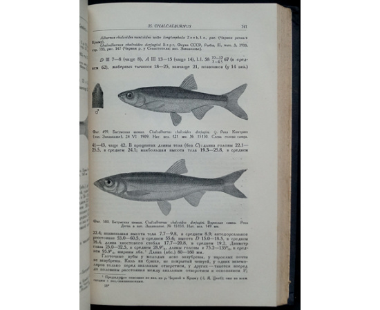 Берг Л.С. Рыбы пресных вод СССР и сопредельных стран. В трех частях