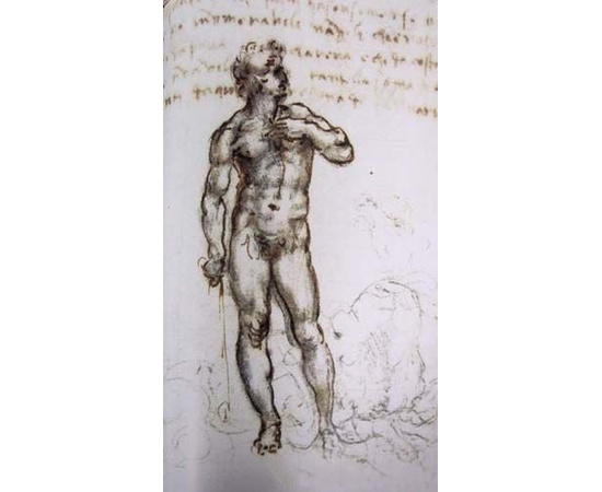 Leonardo da Vinci. The Complete Paintings and Drawings