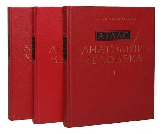Атлас анатомии человека (комплект из 3 книг)