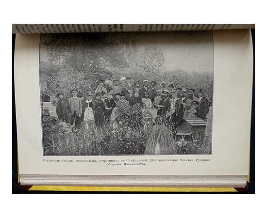 Вестник Русского общества пчеловодства: Полный комплект за 1893-1894 гг.