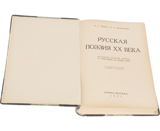 Русская поэзия ХХ века. Антология русской лирики от символизма до наших дней