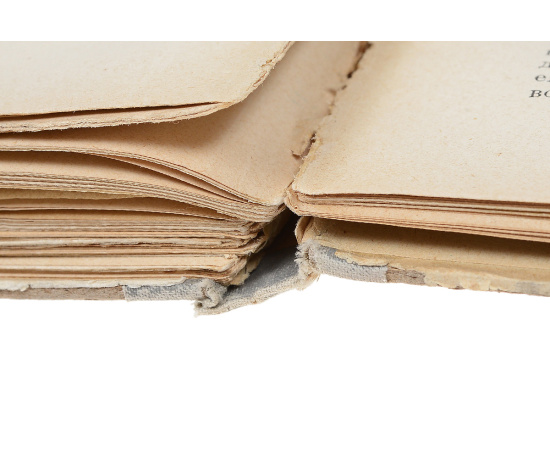 Рыбы, пресмыкающиеся и амфибии