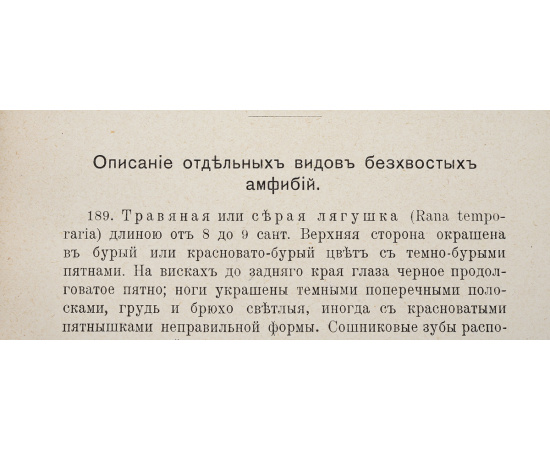 Рыбы, пресмыкающиеся и амфибии