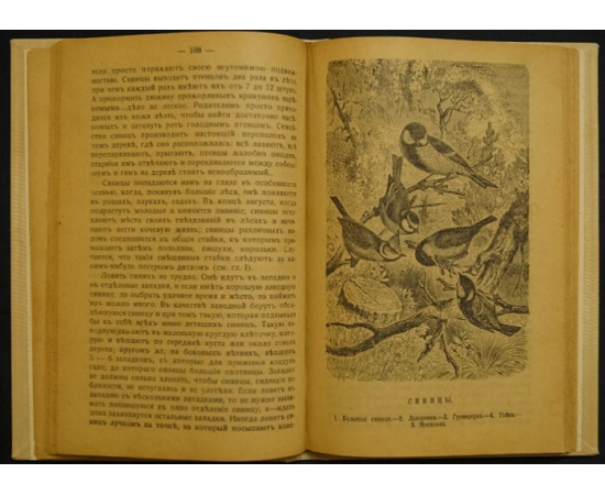 Святский И. Певчие птицы. Ловля, содержание в неволе, нравы и образ жизни певчих птиц.