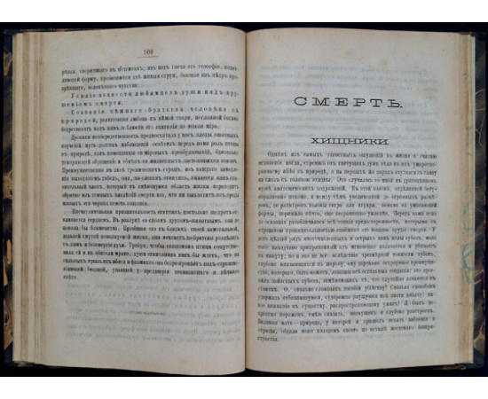 Мишле Ж. Птица.