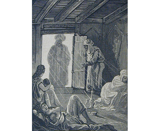 Двуногий волк