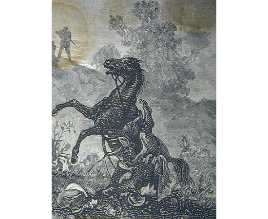 Двуногий волк