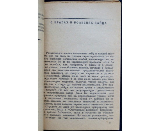 Каверзнев В. Н. О зайце и его добывании.