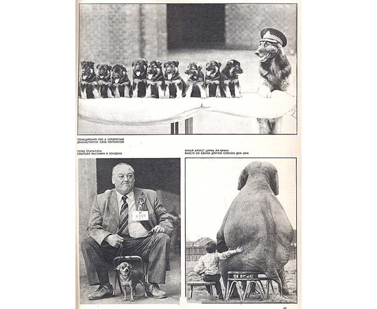 Журнал "Советское фото" Годовые подшивки. с 1963 по 1989 год (комплект из 27 книг)