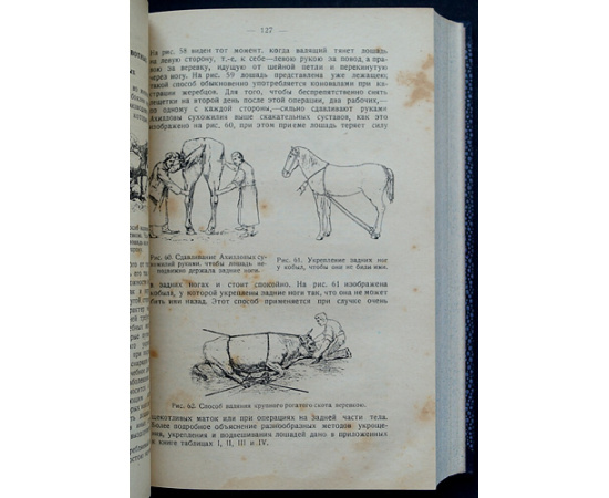 Алтухов П.Г. Лечебник домашних животных и птиц.