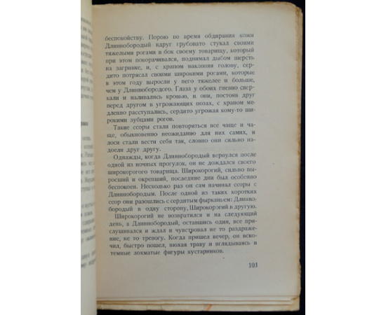 Лоси. Необычайные рассказы из жизни ручных и диких лосей