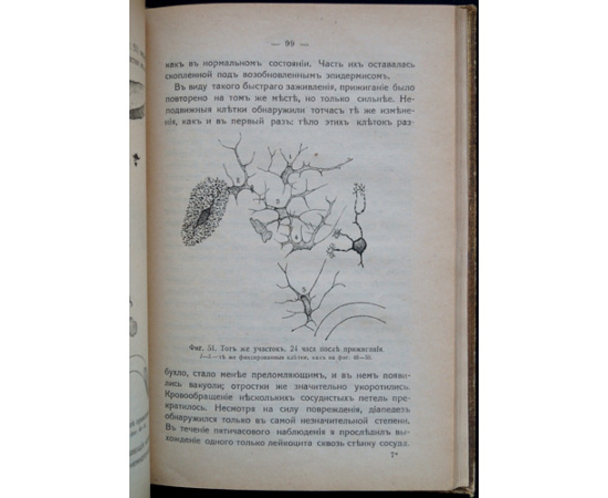 Мечников И. И. Лекции о сравнительной патологии воспаления.