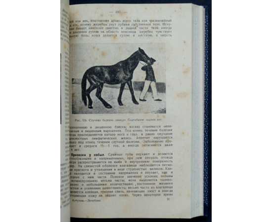 Алтухов П.Г. Лечебник домашних животных и птиц.