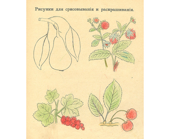 Кузовок. Сборник для детей младшего возраста
