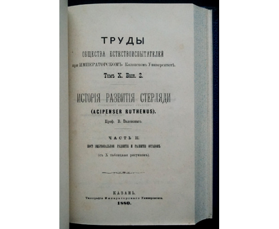 Зеленский В.В. История развития стерляди. Часть I. Эмбриональное развитие + Часть II. Постэмбриональное развитие и развитие органов