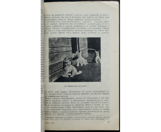 Пупышев П.Ф. Северные промысловые собаки: Воспитание, нахаживание и охота с ними