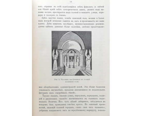Диковинки Земли. Популярные очерки из жизни нашей планеты