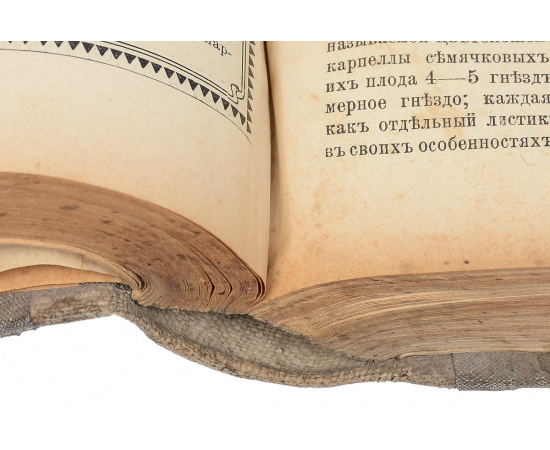 Прогрессивное садоводство и огородничество. Журнал практического садоводства и огородничества. Годовая подшивка за 1914 год